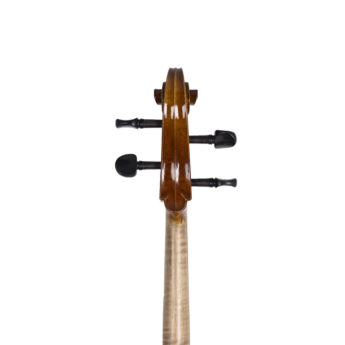ANTON BRUCKNER MAESTRO MASTERBUILD Çello (Thomastik Telli - Yay Dahil)